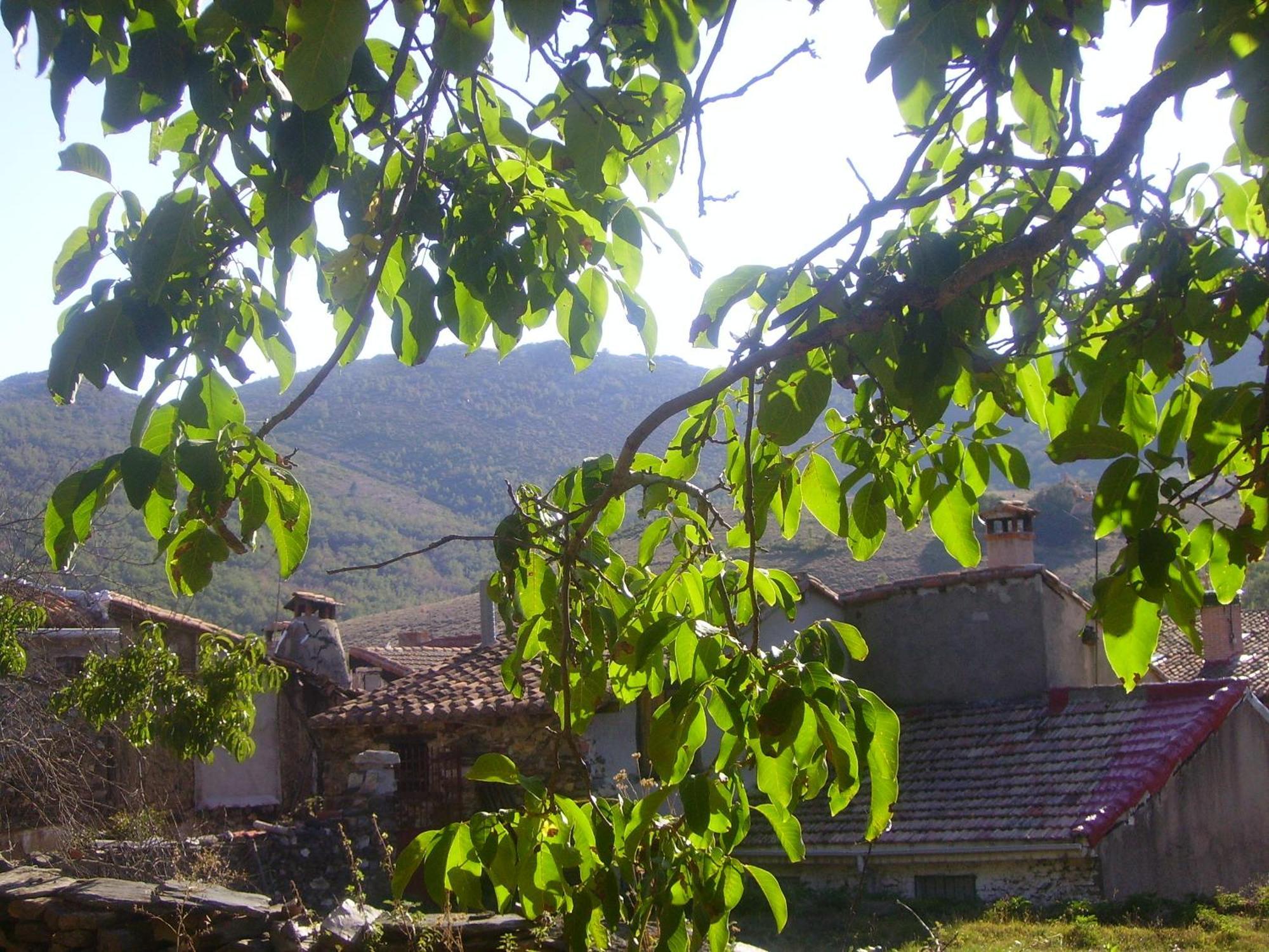 La Puebla de la Sierra Madre Terra 게스트하우스 외부 사진